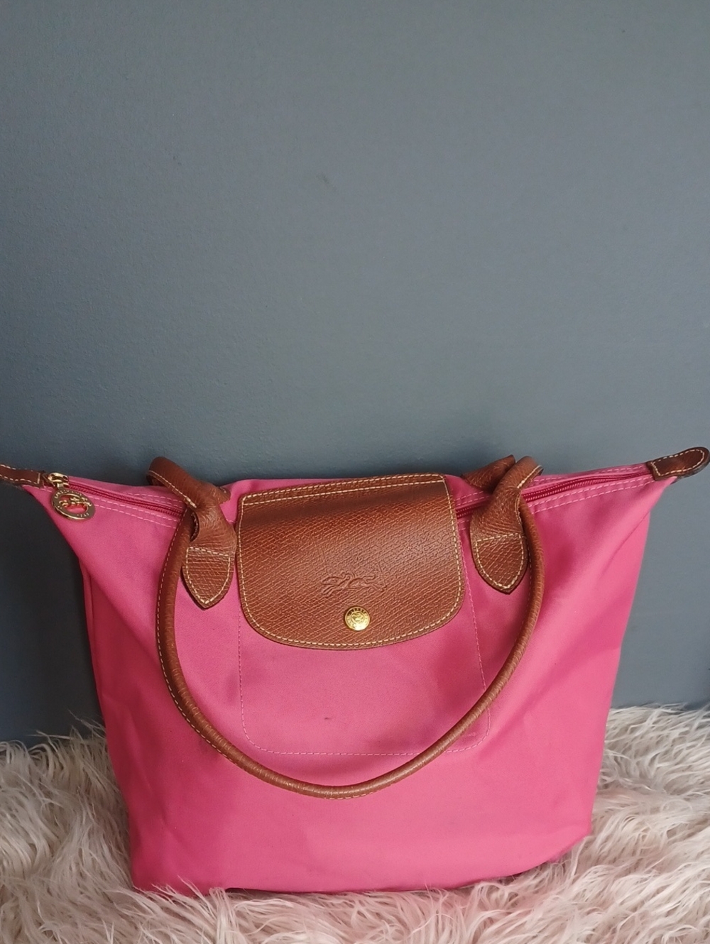 Longchamp Bag